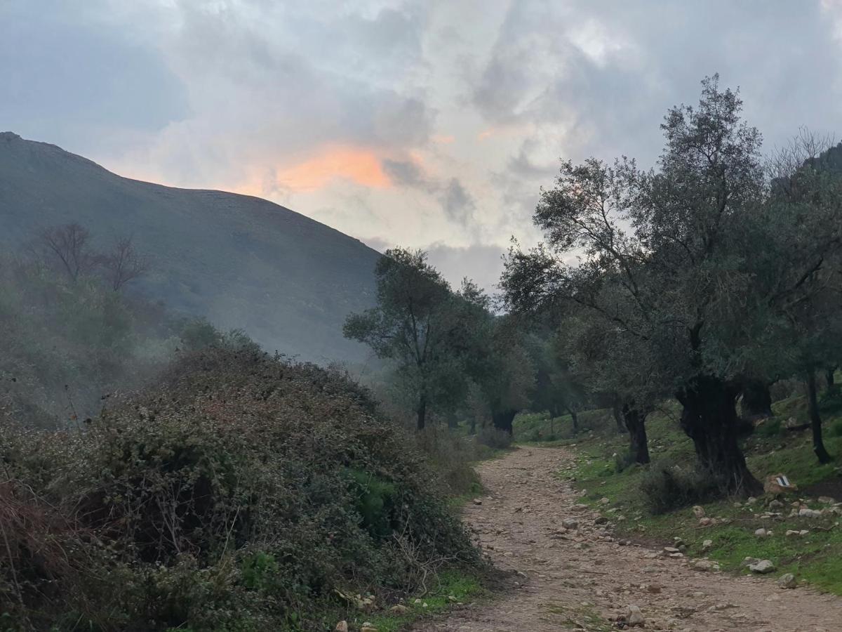 فيلا הפינה שלה -Hapina Shella ראש פינה העתיקה المظهر الخارجي الصورة